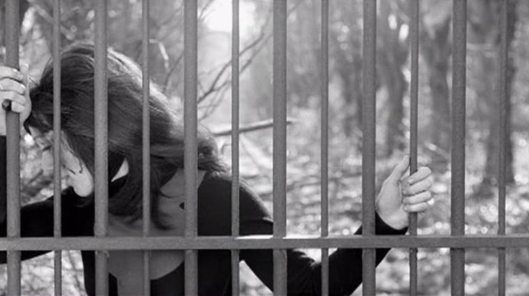 DRACULAND: The Dracula´s Blog: Le Viol du Vampire (1968)