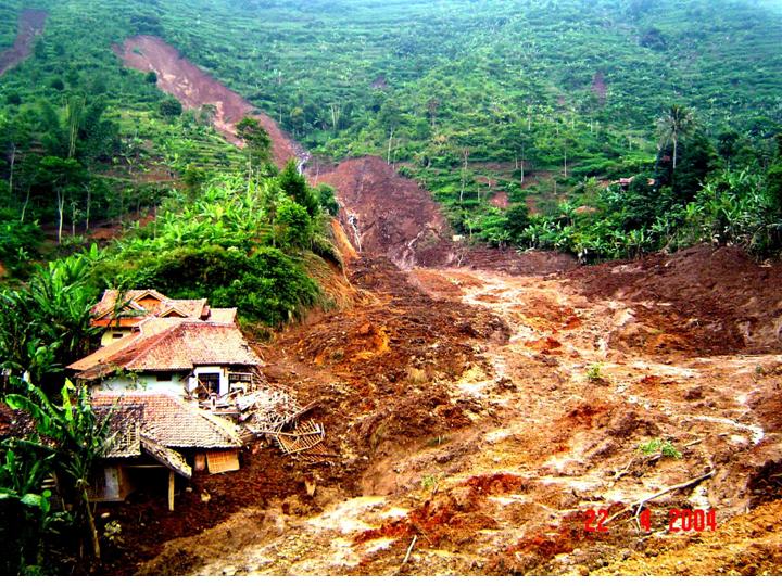 Manshurin: KERUSAKAN ALAM