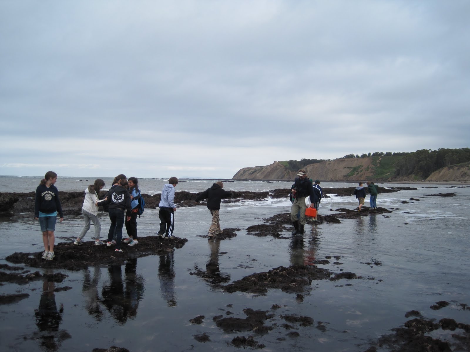 Point Reyes Outdoors Tidepooling at Duxbury Reef, Bolinas, CA