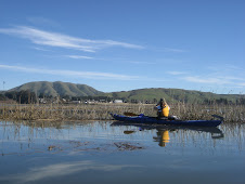 Kayaking Tours with Point Reyes Outdoors