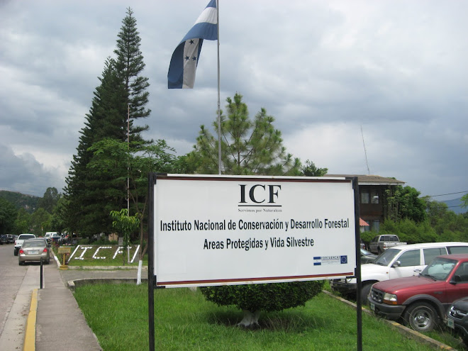 Departamento De Comunicaciones ICF