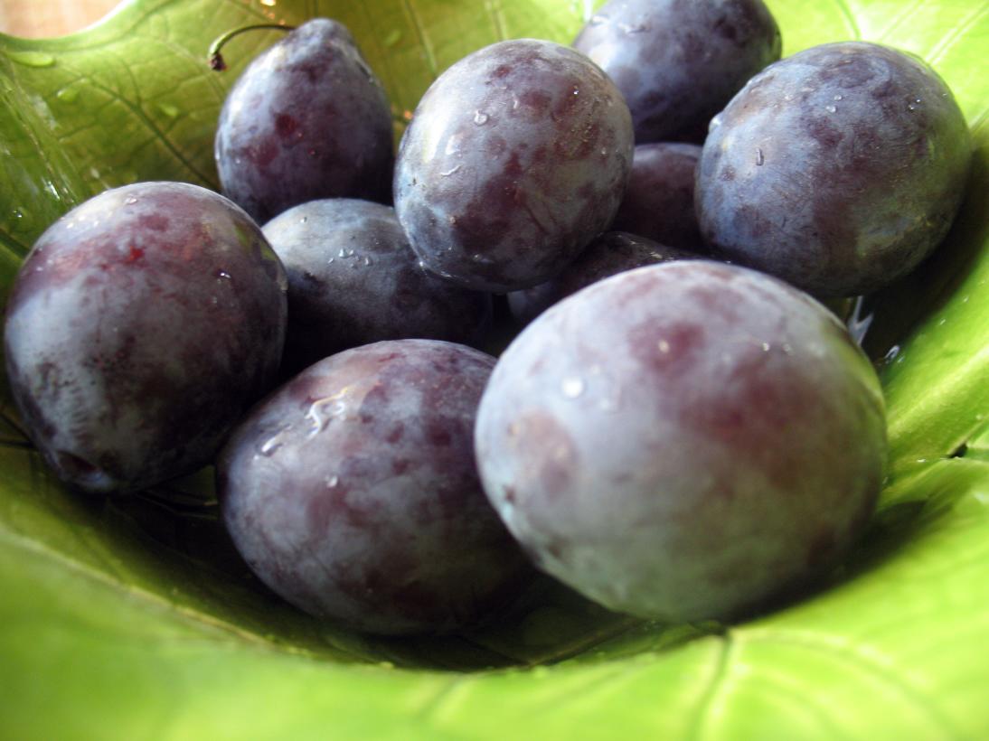 Your baby eats WHAT?! Quick sugar free skillet plumorange jam recipe