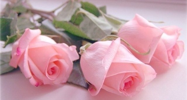 АМВЕЙ: о продукции и бизнесе 