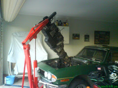 Stag's engine removal