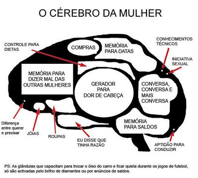 [cérebro-feminino-BOTABAIXO.jpg]
