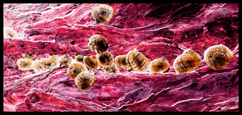 Brian Damage Art 2010