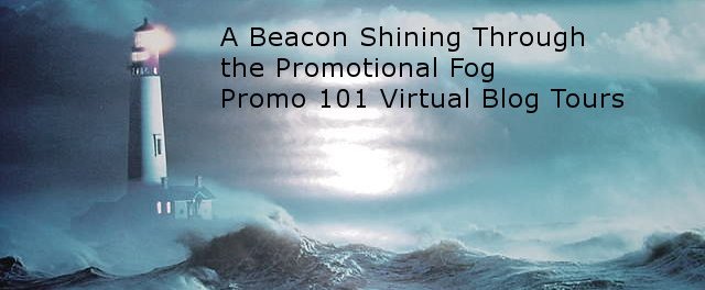 Promo 101 Virtual Blog Tour