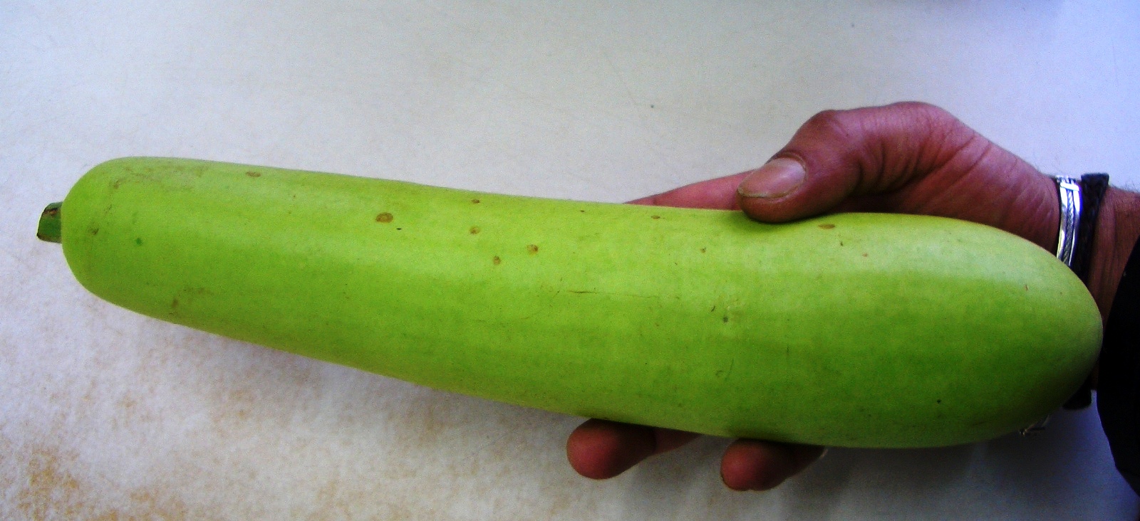 Bav's Kitchen Bottle Gourd The Indian Marrow