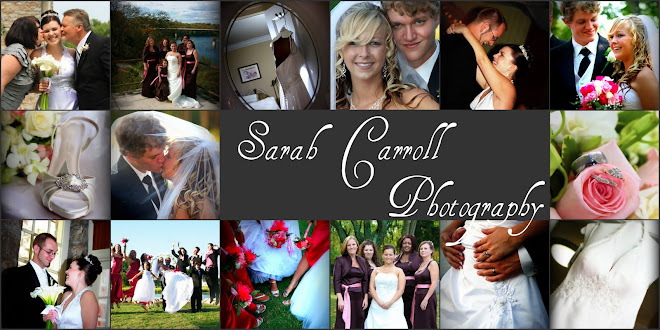 Sarah Carroll Photography