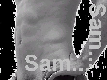 [SAM+1+new.bmp]