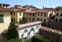 View from my window