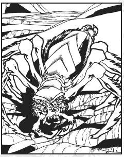 [deadlands_spider.JPG]