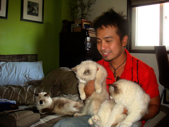 Me and my Ragdolls