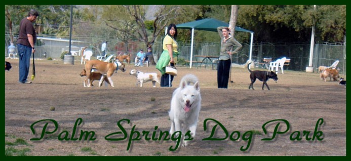 PalmSpringsDogPark