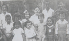 Mis amigos de Rio
