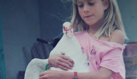 El pato
