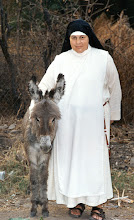 WILD DONKEY (on the left) ~ MEXICO