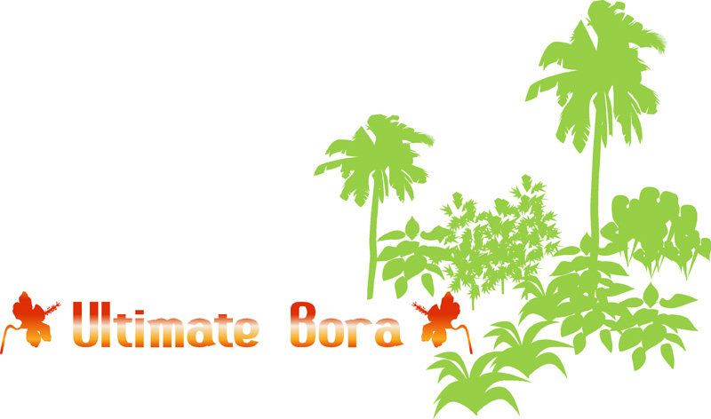 Ultimate Bora