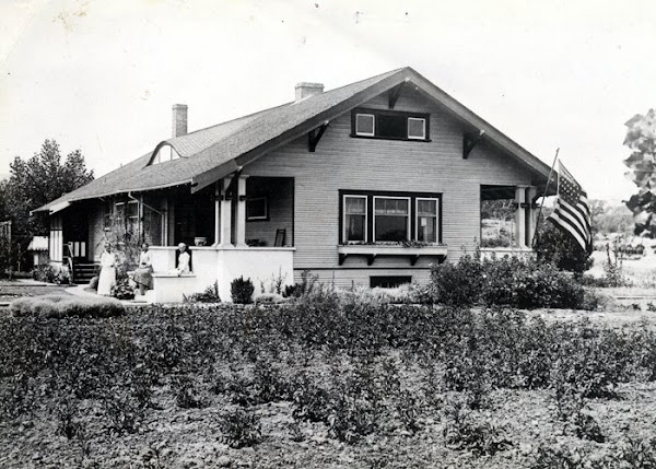 My house in 1915