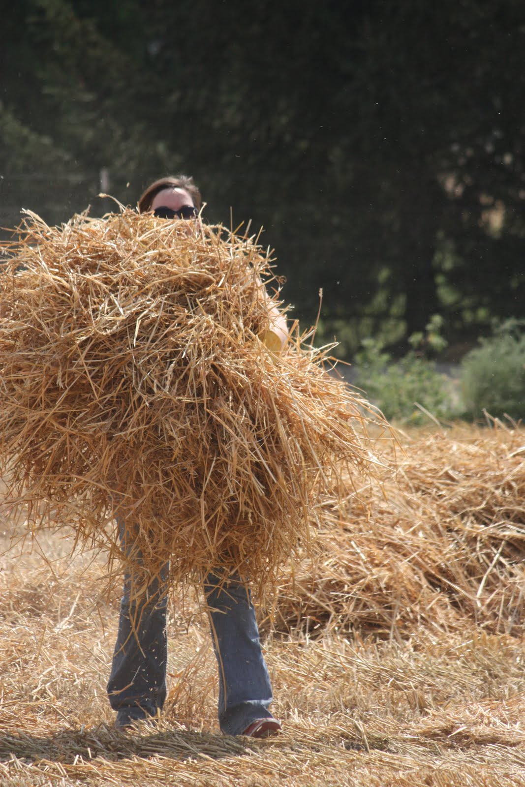 Chafftastic What is Chafftastic?