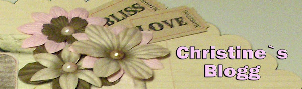 Christine`s blogg