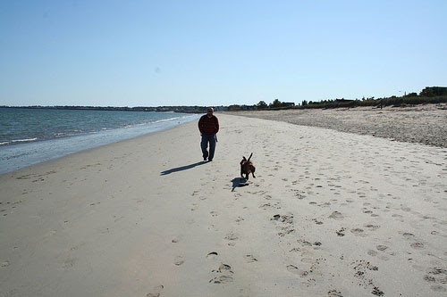 Maine State Parks Ferry Beach Park In Saco