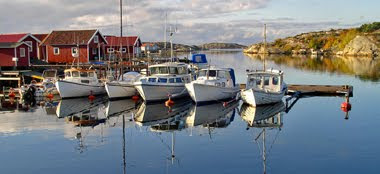 Fishing boats in a harbor