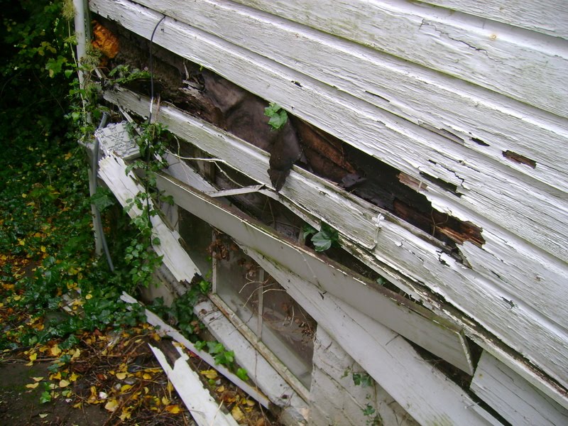 Twilight Zoning in Bellingham Fairhaven Rental Off the Charts