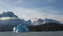 Iceberg off the Grey Glacier