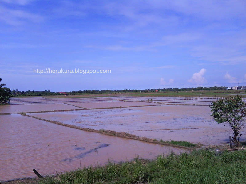 [DSC00811+penampang.jpg]