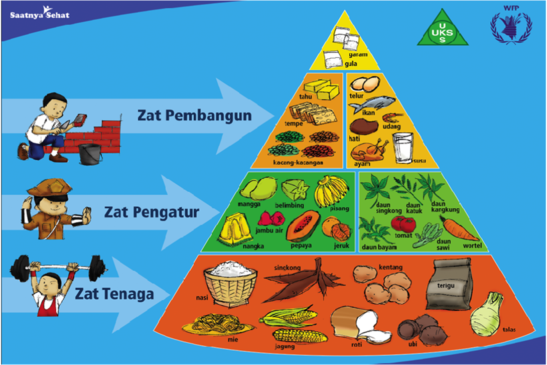 Pendidikan Jasmani Dan Kesihatan: Piramid Makanan