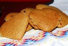 [LadyKitchenAndrea+(WinCE).JPG]