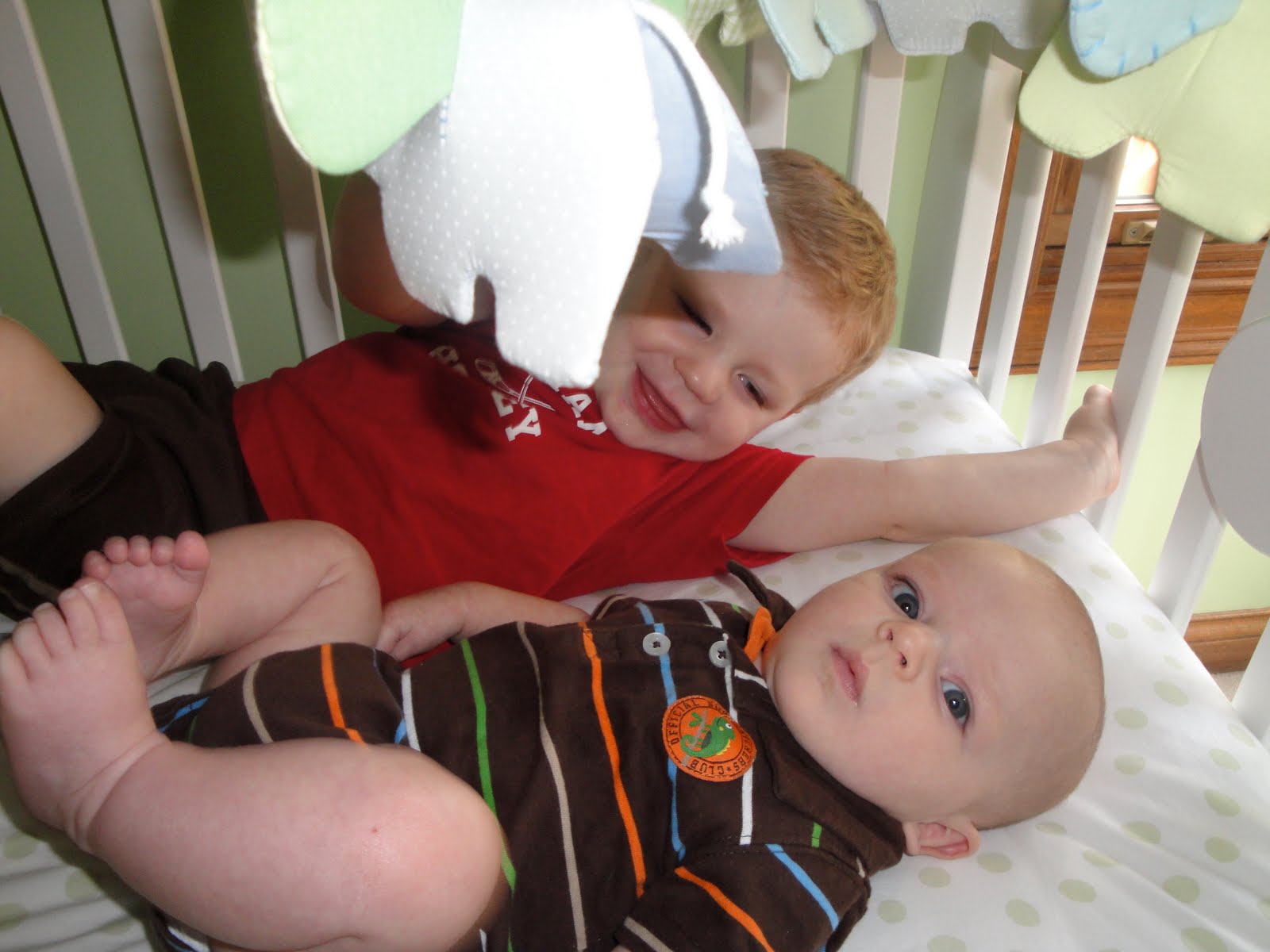 The Blake Brothers' and Little Sister Blog Crib Time