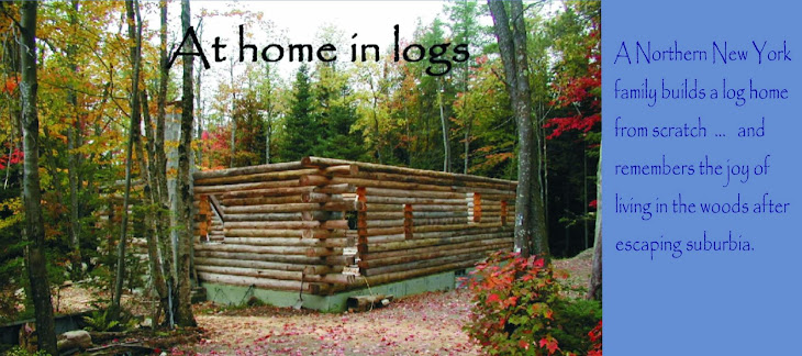 At Home In Logs