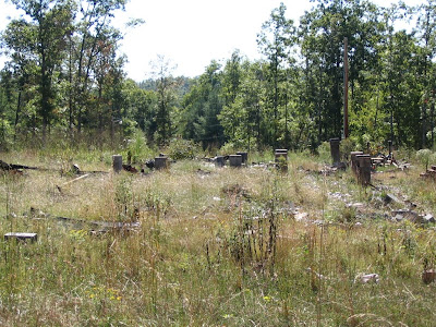 HOMESTEADING IN TENNESSEE: Starting a Garden