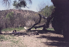 cottonwood camp