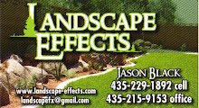 Our Business Blog