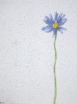 Still Life Portrait - Single Flower - Felicia