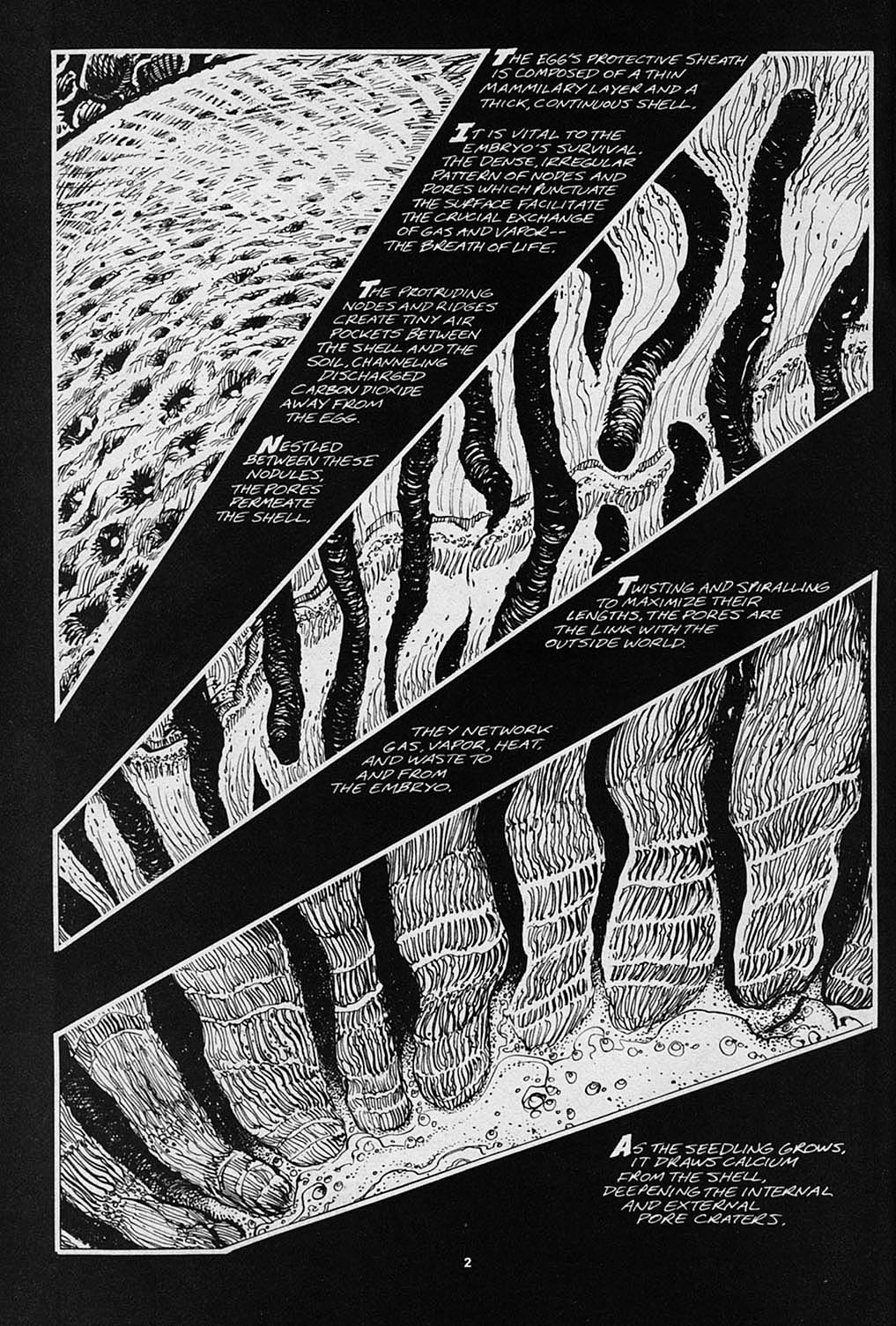 Read online S.R. Bissette's Tyrant comic -  Issue #3 - 4