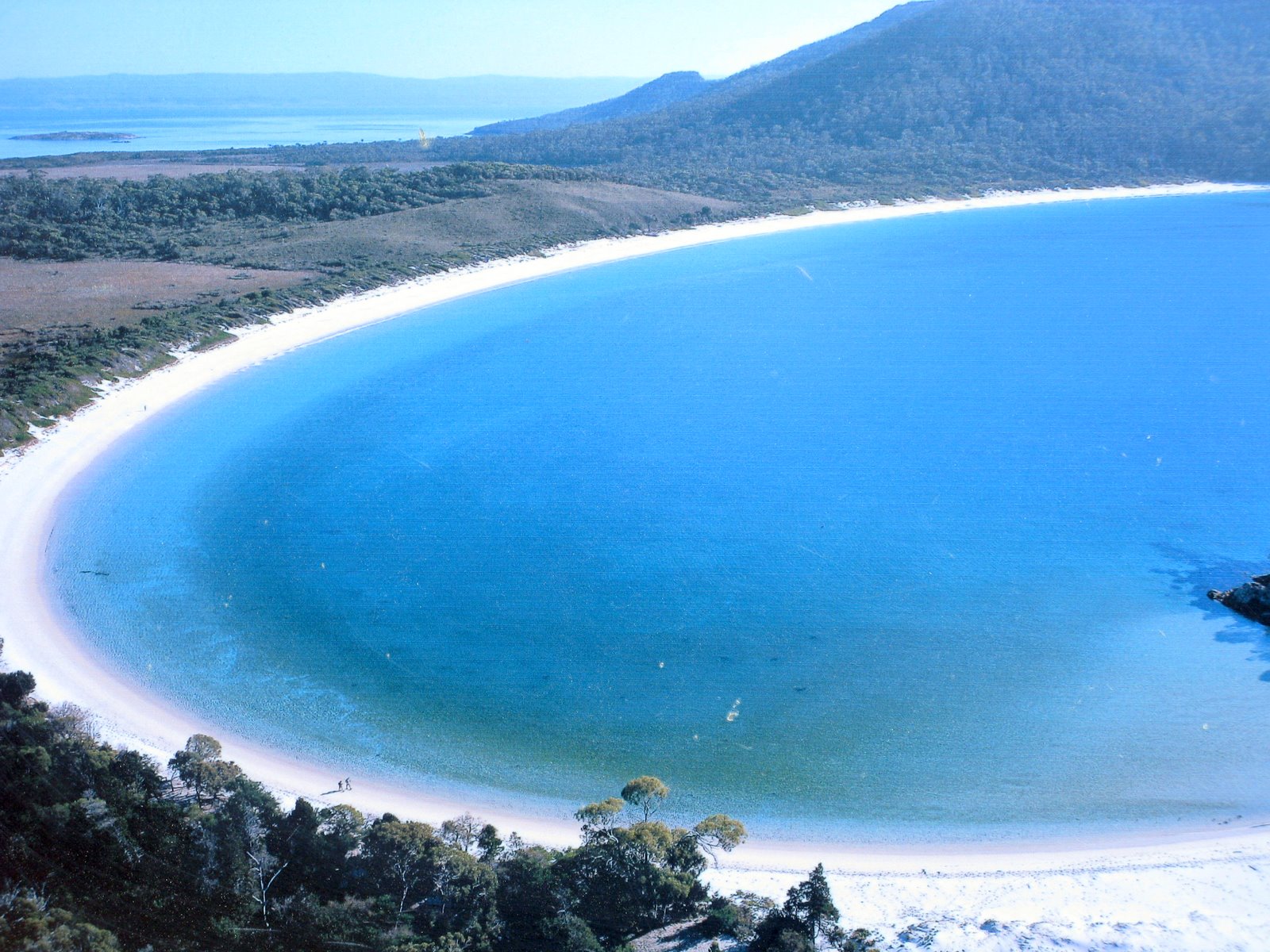 TANGCANCOOK WINE GLASS BAY TASMANIA