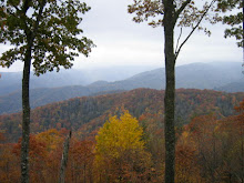 Smoky Mountain Fall