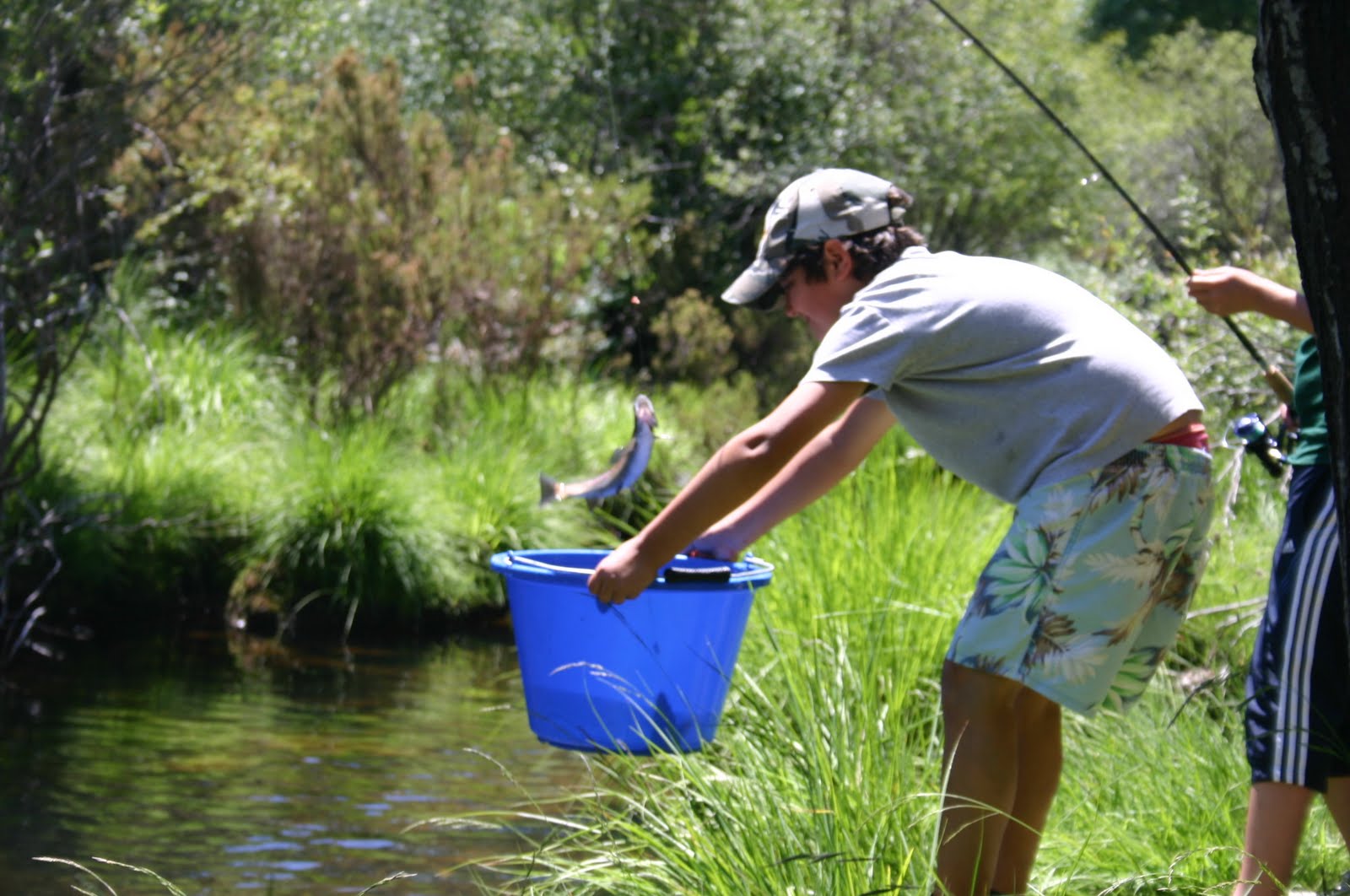 can-a-4-year-old-have-mylanta