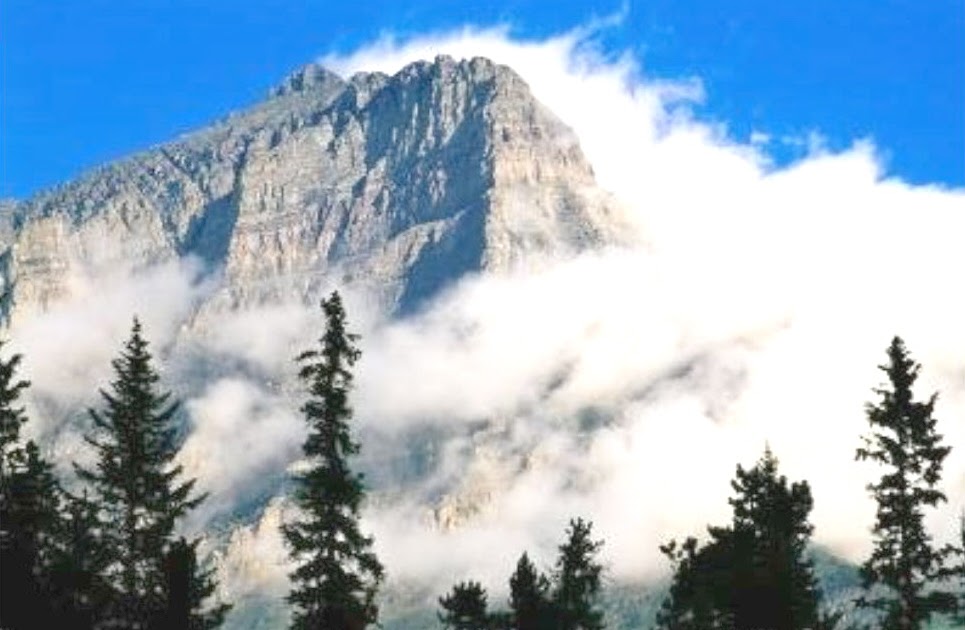 Eliseu Antonio Gomes O monte Sião