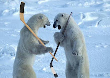 Bearly Hockey
