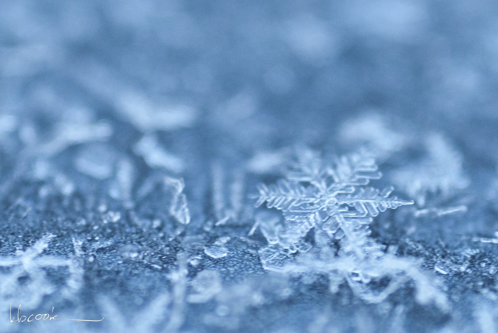 снежинки на прозрачном фоне. ткань бесшовная новогодняя. серые снежинки. обои на рабочий стол снежинки. снежинки на прозрачном.