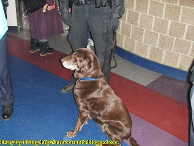 photo of a bomb-sniffing dog