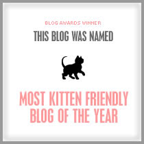 MOST KITTEN FRIENDLY BLOG OF THE YEAR