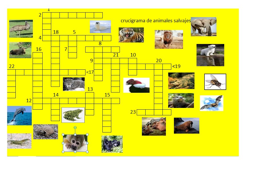 poletcabal crucigrama de animales salvajes poletcabal crucigrama de animales salvajes