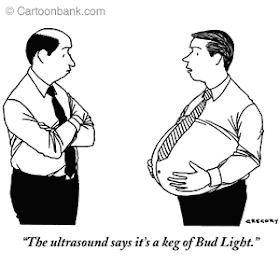 THE BIGGEST FATTEST BLOG: ALL THE FAT CARTOONS ONE SEES ON THE INTERNET