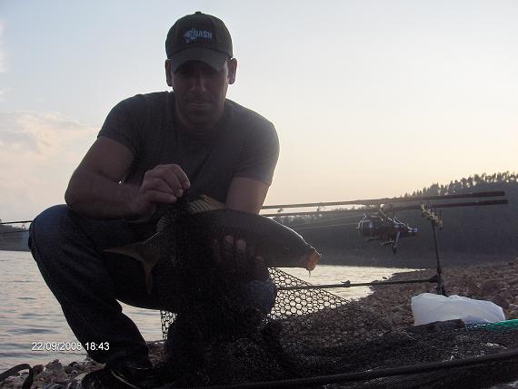 Carpa 1,5 kg 22 Setembro Coval..também merece tar aqui pois conseguiu abocanhar um Boillie de 30 mm